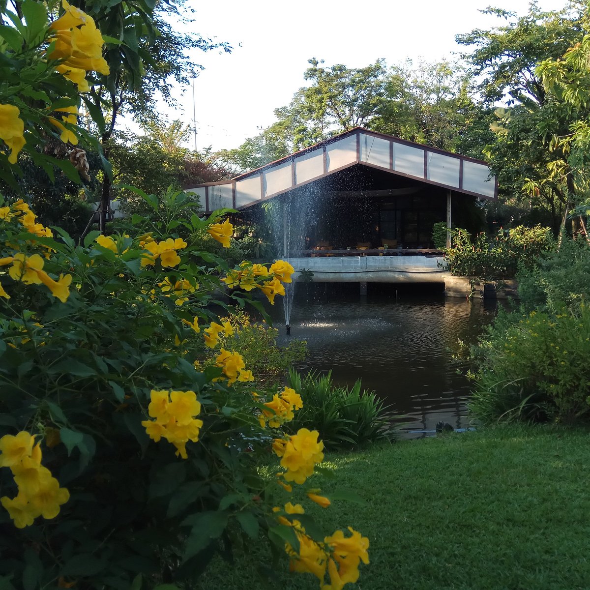 Plantation Cafe x Roastery exterior with lush garden and pond